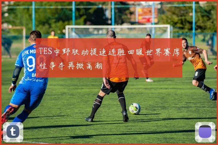 TES中野联动提速连胜回暖世界赛席位争夺再掀高潮