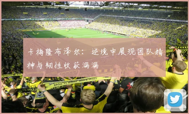 卡梅隆布泽尔：逆境中展现团队精神与韧性收获满满