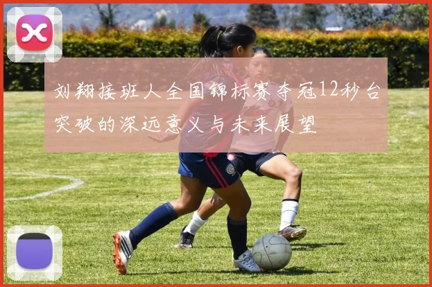 刘翔接班人全国锦标赛夺冠12秒台突破的深远意义与未来展望