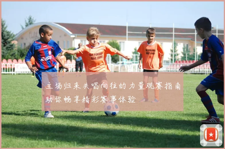 主场归来共唱向往的力量观赛指南助你畅享精彩赛事体验